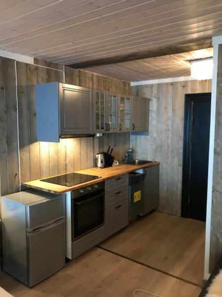 Apartment Kvamseter - Mountain