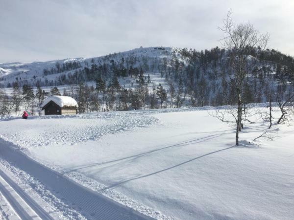 Kvamseter - Mountain * Norheimsund